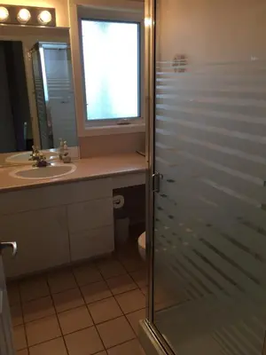 a bathroom with a sink and a glass shower door at Tanglewood 19 in Parksville