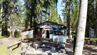 a small house in the middle of a forest at Mountain View Cabins in Golden