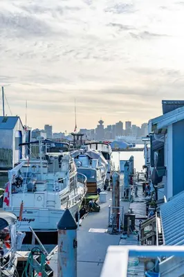 a group of boats docked in a harbor at Cozy modern floating home next to Lonsdale Quay in North Vancouver
