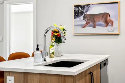 a kitchen with a sink and a picture of a tiger at New 2BR in DT Golden with AC, Balcony, BBQ, Sleeps 6 in Golden