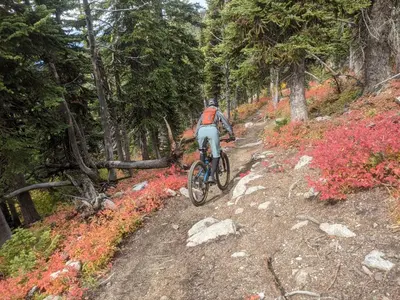 a person riding a bike on a dirt trail at NEW Midtown Rossland Studio Apartment in Rossland
