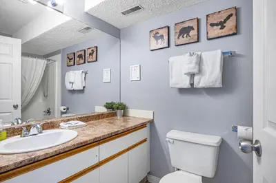 a bathroom with a sink and a toilet and a mirror at Spacious 2BR unit near DT Canmore and Banff in Canmore