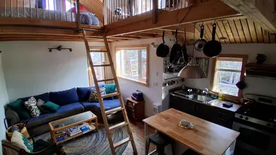 a living room with a blue couch and a loft bed at Yukon Sweet Spot Bed and Bakery in Whitehorse