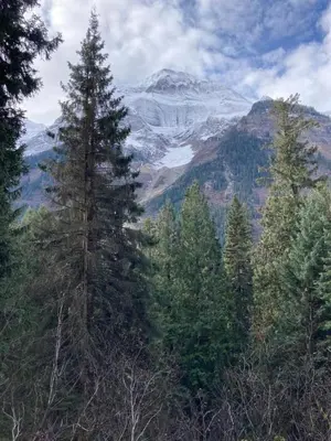 a view of a snow covered mountain with trees at Mountaineer Creekside Cabin - Private Hot Tub in Golden