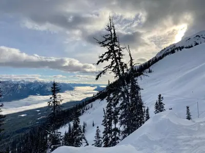 a view of a snow covered mountain with trees on it at Mountaineer Creekside Cabin - Private Hot Tub in Golden