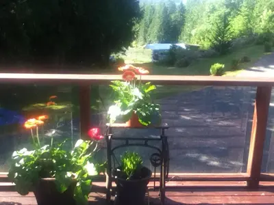 a balcony with potted plants on a porch at Beaver Hut Bed And Breakfast in Port Alberni