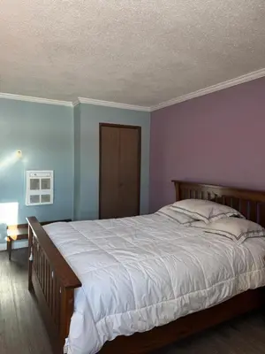 a bedroom with a large bed with blue walls at Country Road Motor Inn