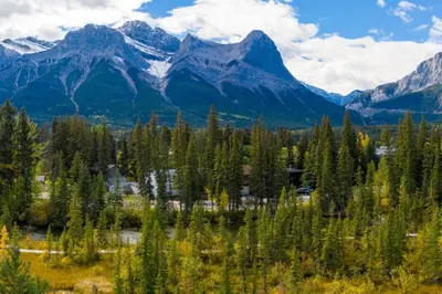 a group of trees with mountains in the background at Rustic Creekside Retreat 2BR with Stunning View in Canmore