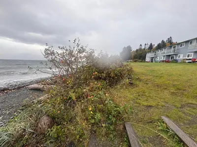 a bush on the beach next to the water at Jaspers Seaside Resort complex, in Courtenay