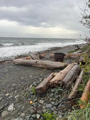 a group of logs on a rocky beach near the ocean at Jaspers Seaside Resort complex, in Courtenay