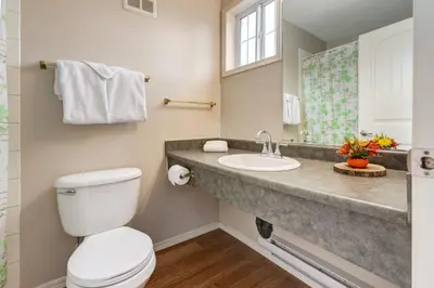 a bathroom with a toilet and a sink at Cozy Condo in the Heart of Canmore in Canmore