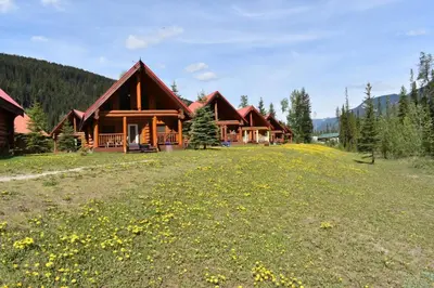 a large grassy field in front of a log cabin at Wonderful Rockies Cabin Getaway for Hike or Ski in Golden