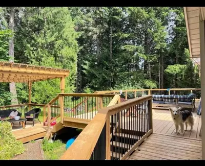 a dog is standing on a wooden deck at Ships Point Wellness INC in Fanny Bay