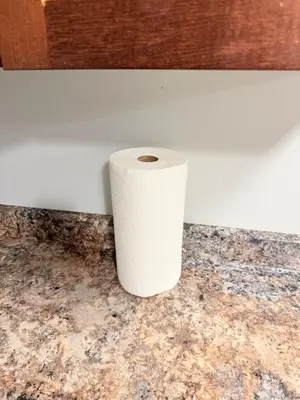 a white roll of toilet paper sitting on a counter at True Haven Deluxe in Prince George