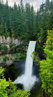 a waterfall in the middle of a forest at The Alpine Alcove w Pool & Hot Tub in Whistler