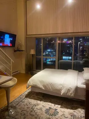 a bedroom with a large bed and a television at 933 seymour at vancouver downtown in Vancouver