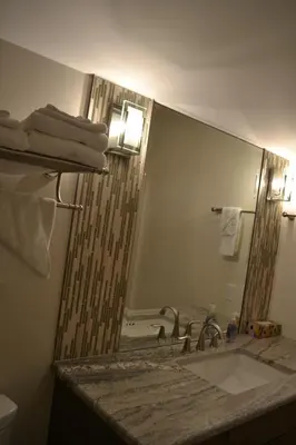 a bathroom with a sink and a large mirror at Radium Elk Park B & B in Radium Hot Springs