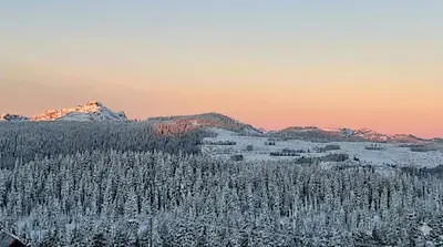 a view of a snow covered mountain with snow covered trees at True Ski-In-Ski-Out Rare 3-Bed Condo in Mount Washington