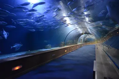 a tunnel in an aquarium filled with lots of fish at Cozy 2BR 1BA Retreat in Vibrant Vancouver in Vancouver