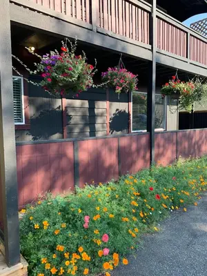 a building with flowers on the side of a fence at Hidden JEM - Your Home Away From Home in Coal Harbour