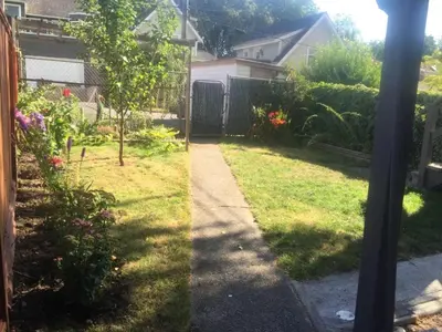 a view of a garden from a window of a yard at Quiet-comfy 3 bedroom house on a tree lined street in Kitsilano in Vancouver