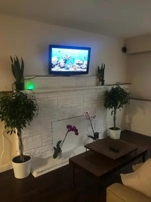 a living room with a fireplace with a tv on a wall at Quiet-comfy 3 bedroom house on a tree lined street in Kitsilano in Vancouver