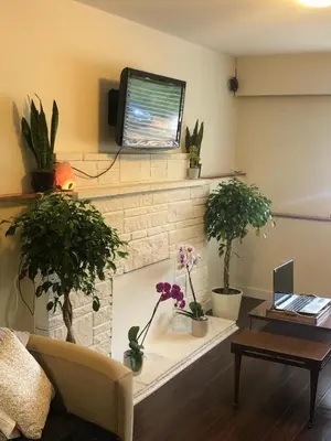 a living room with a brick fireplace with potted plants at Quiet-comfy 3 bedroom house on a tree lined street in Kitsilano in Vancouver