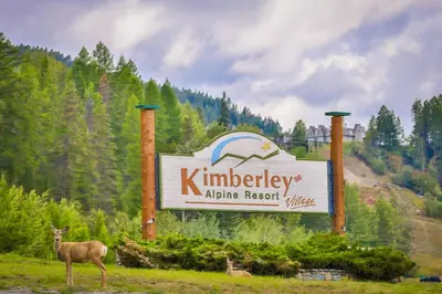 a deer standing next to a sign in a field at Polaris Lodge by StayIn in Kimberley
