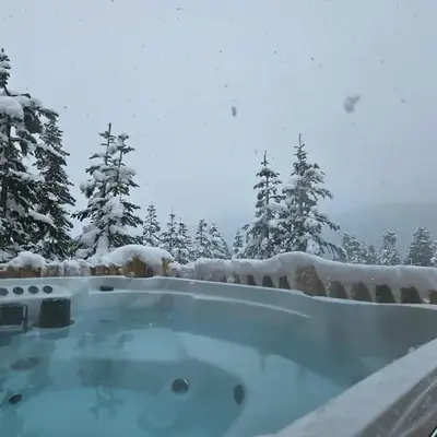 Hot Tub - Sleep 12 - EV Charger J1772 - Forest View - Pet Friendly