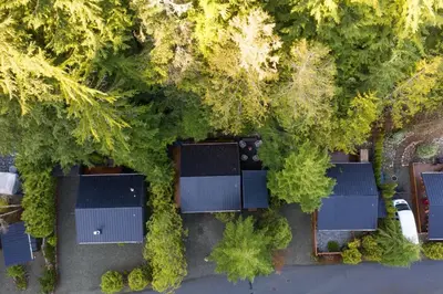 an overhead view of a yard with trees and roofs at JDF Waystation Cabin - Garden View - Pet Friendly in Port Renfrew