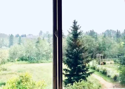 a window with a christmas tree in a field at Spacious 3BR Retreat w-Hot Tub Ravine Sleeps 9 in Edmonton