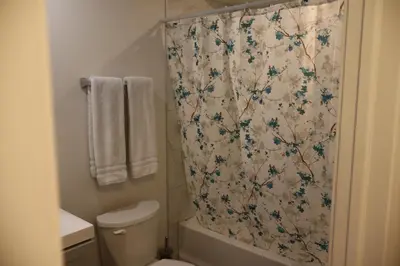 a bathroom with a shower curtain and a toilet at Cozy and Private Guest Suite in West Edmonton in Edmonton