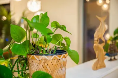 a plant in a vase sitting on a table at Central Van 3BR Upper Suite - Near Skytrain in Vancouver
