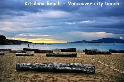 a group of logs laying on a beach near the water at Lynn Canyon Forest Retreat in North Vancouver