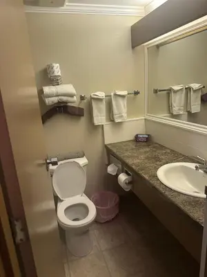 a bathroom with a toilet and a sink and a mirror at Logan Lake Hotel in Logan Lake
