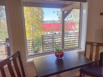 a table with a plant on it in front of a window at Cozy 1 br apartment in Old Town by lake in Yellowknife