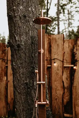 a bird feeder is attached to a tree at Quadra Island Mist in Quathiaski Cove