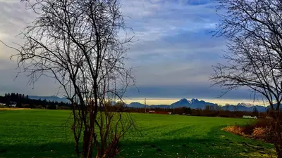 a large green field with mountains in the background at Fields & Fences Suite in Maple Ridge District Municipality