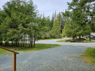 an empty road with trees on the side of it at Pet Friendly cozy cabin getaway with Kitchenette and Private Bath in Port Renfrew