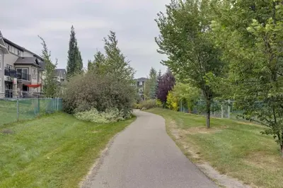 a winding road in a residential neighborhood with trees at Private Suite in Airdrie Near Calgary Free Parking in Airdrie