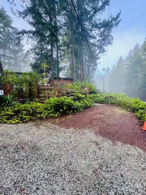 a dirt road in the middle of a forest at Magnolia Petal Accommodation in Salt Spring Island