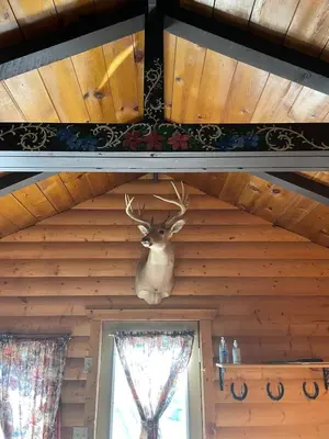 a deer head hanging from the ceiling of a cabin at The White Tail Cabin - Bear Creek Cabins in Winfield
