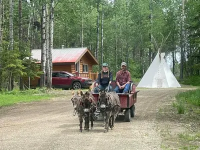 two people riding in a wagon pulled by donkeys at The Sheep Camp cabin- Bear Creek Cabins in Winfield
