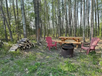 two chairs and a picnic table in the woods at The Moose cabin - Bear Creek Cabins in Winfield