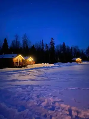 a cabin with lights on in the snow at night at The Moose cabin - Bear Creek Cabins in Winfield