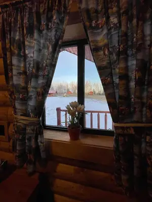 a window with a potted plant on a window sill at The Longhorn cabin - Bear Creek Cabins in Winfield