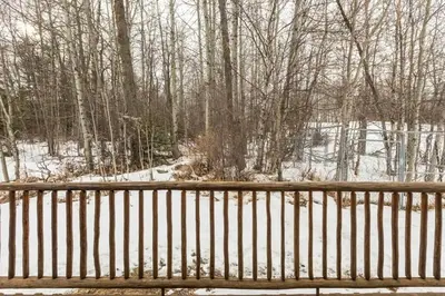 a wooden bench in the snow with trees at The Papa Bear Cabin - Bear Creek Cabins in Winfield