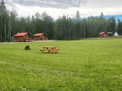 a picnic table in the middle of a field at The Wolf Cabin - Bear Creek Cabins in Winfield