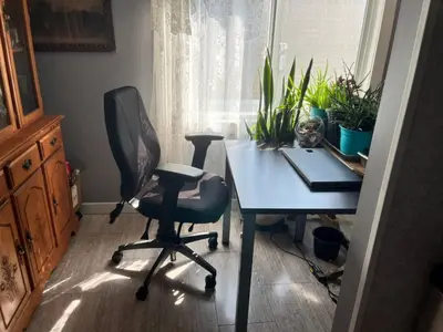 a desk and chair in a room with plants at Rustic suite in small town Alberta Canada in Penhold