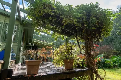 a house with potted plants on a porch at Picturesque and Comfy Escape with Waterfall View in Garden Bay